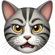 angry cat sticker