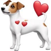 Jack Russell with hearts  sticker