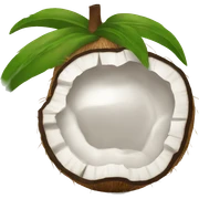 coconut sticker