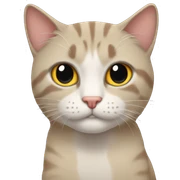 Gato sticker