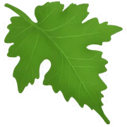 Leaves sticker