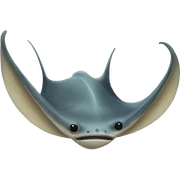 Stingray sticker