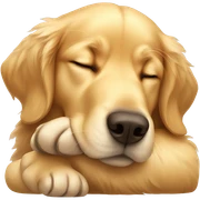 golden retriever sleeping sticker