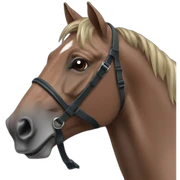 horse-racing sticker