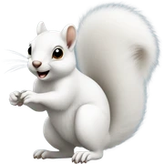 white squirrel  sticker