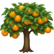 Orange tree sticker