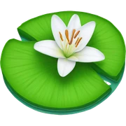 Lily on lilypad sticker