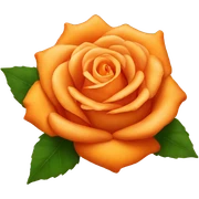 orange rose sticker