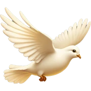 Flying white dove in golden light  sticker
