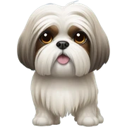 Shih Tzu ￼ sticker