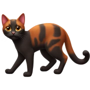Red and dark cat playing sticker