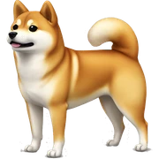 Shiba Inu standing sticker