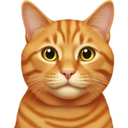 Orange Cat sticker