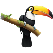 toucan sticker