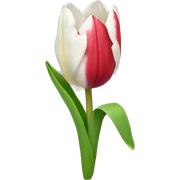 Tulip sticker