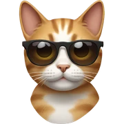 Cat with sunglasses sticker