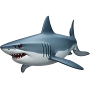 shark sticker
