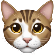 Brown and white tabby laying sticker