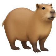 Capybara sticker
