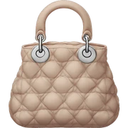 Dior bag sticker