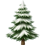  actual white fir christmas tree isolated.  sticker