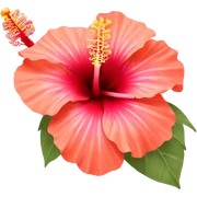hibiscus sticker