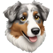 Australian shepherd  sticker