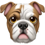 English Bulldog white fur and Brown Dots  sticker