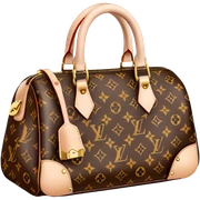 ￼ Louis Vuitton sticker