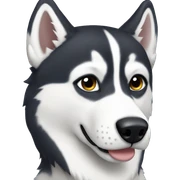 Husky sticker
