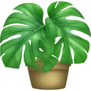Monstera sticker