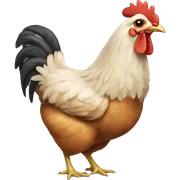  chicken  sticker