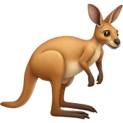 kangaroo sticker