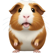 Guinea pig sticker
