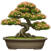 Bonsai tree  sticker