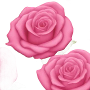 Cute rose my pink heart sticker