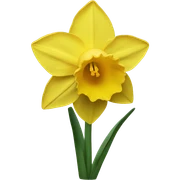 Daffodil  sticker