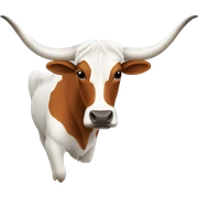 Longhorn sticker