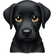 Black lab puppy sticker