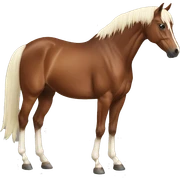 Hobbyhorsing sticker