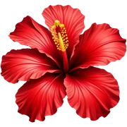 Hibiscus flower sticker