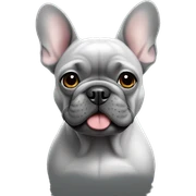 Grey french bulldog sticker