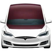 burgundy tesla sticker
