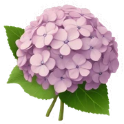 hydrangea sticker