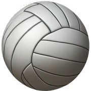 volleyball sticker