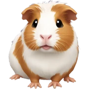 Guinea pig sticker