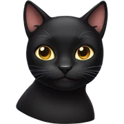 Black cat  sticker