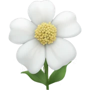 white flowers sticker