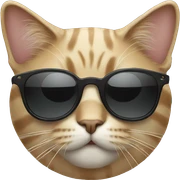 Cat with sunglasses sticker