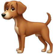 brown dog with body sticker